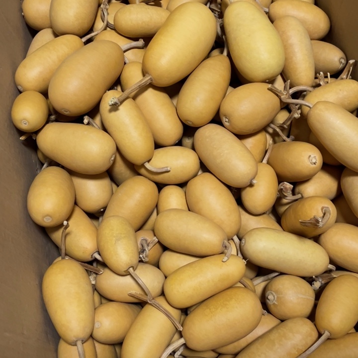 水***声可口可乐了可口可乐了