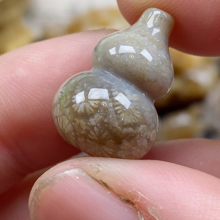 颈饰未镶嵌硅化珊瑚（珊瑚玉）没打孔 小