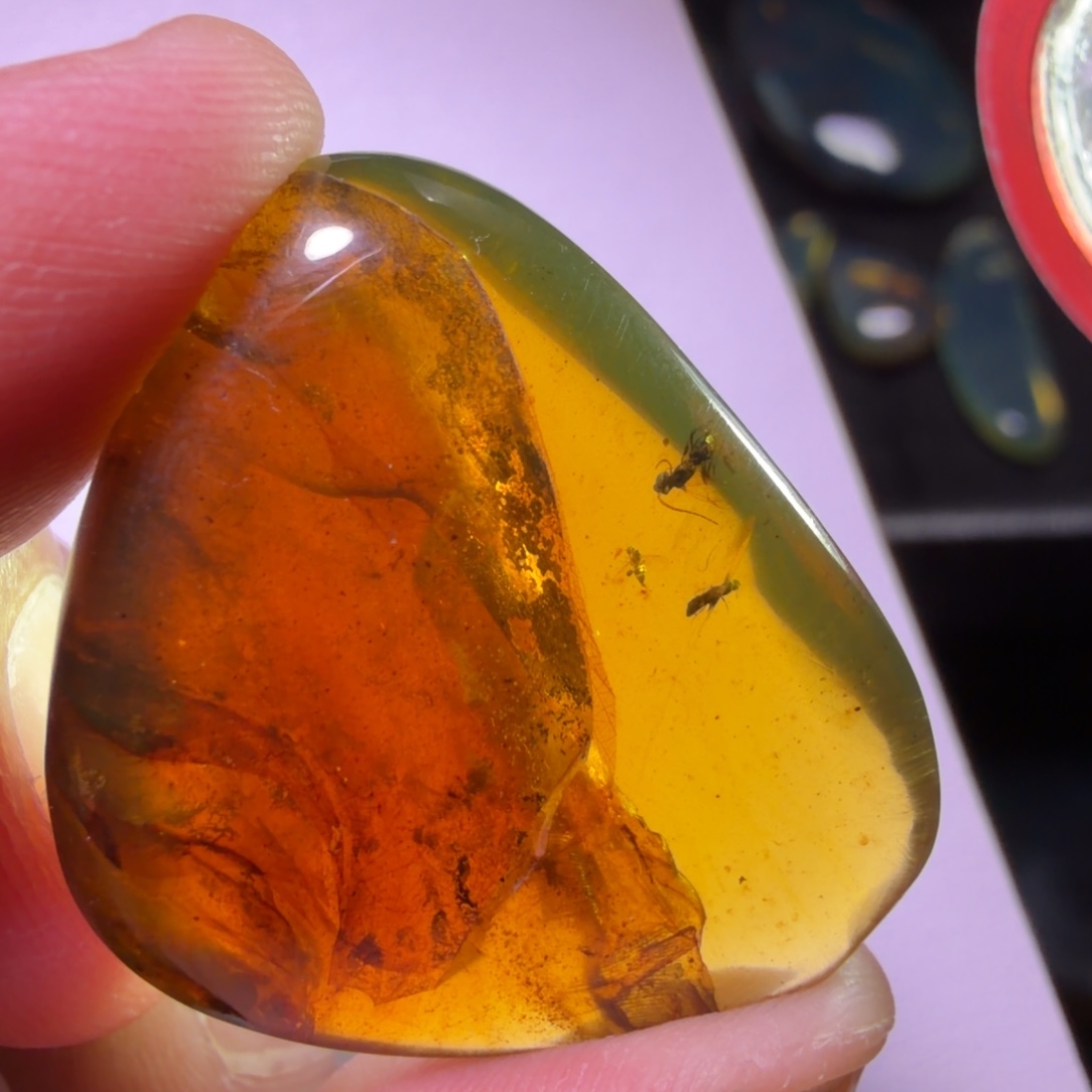 琥珀未镶嵌裸石《3只虫》