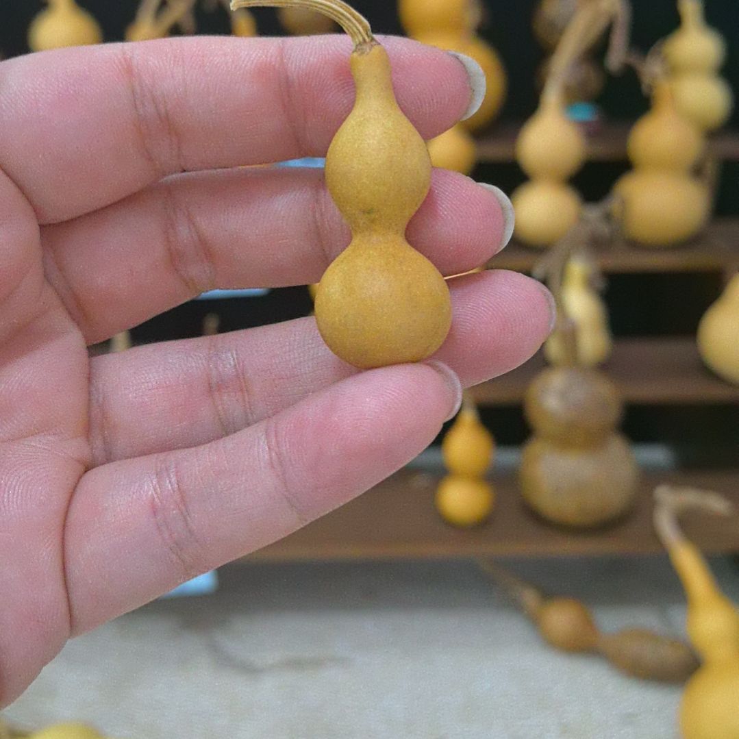 我的小葫芦娃娃们出来玩了，不退不换