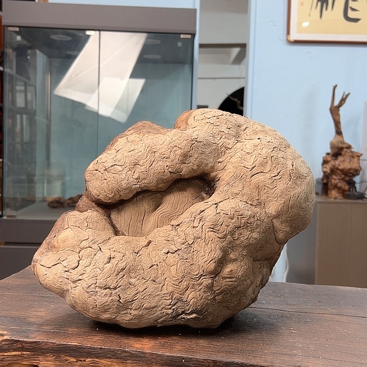 柏木月****水我们都是好孩子呀我也是想你