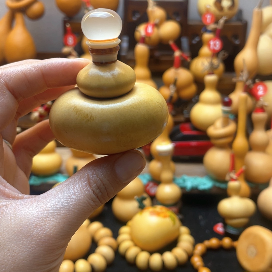 豆*大自然的秘密第十一节你是