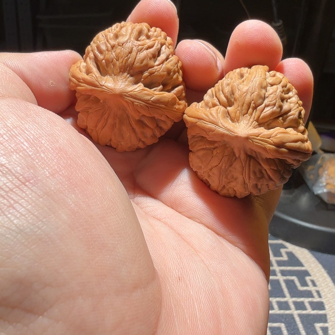 文玩核桃把件何*九莲花