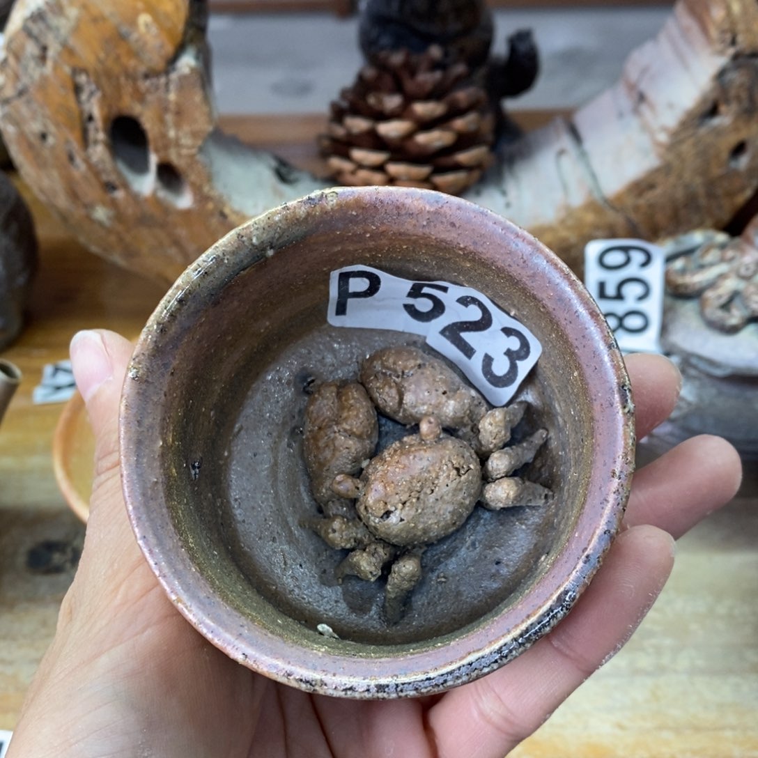 陶园柴烧 精品高货523