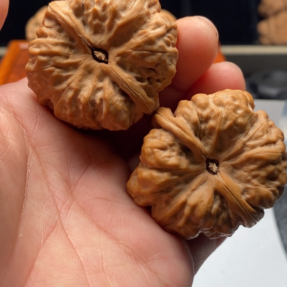 一****好的我真的是太喜欢了