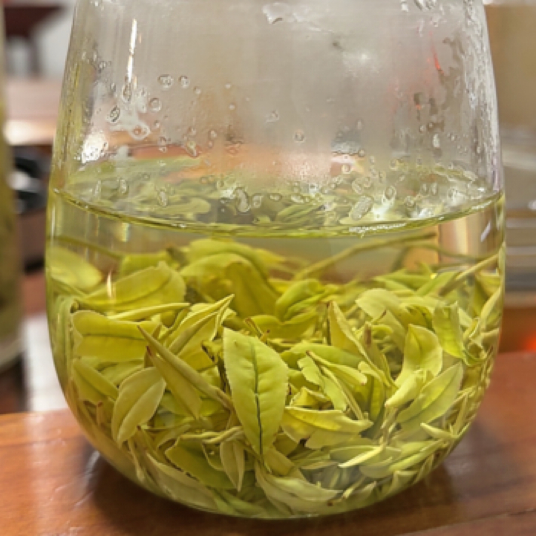 高山手工S06安吉黄金芽耐泡口粮茶叶醇香豆香春茶