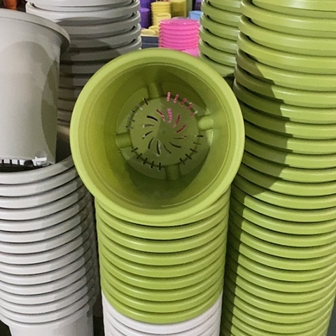 树脂微瑕果绿色7号无托6个