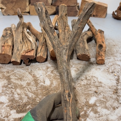 大果紫檀（缅甸花梨）?****