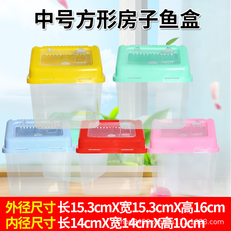 新手 孩子 推荐透明爬宠鱼盒手提外带饲养盒  送蟹子