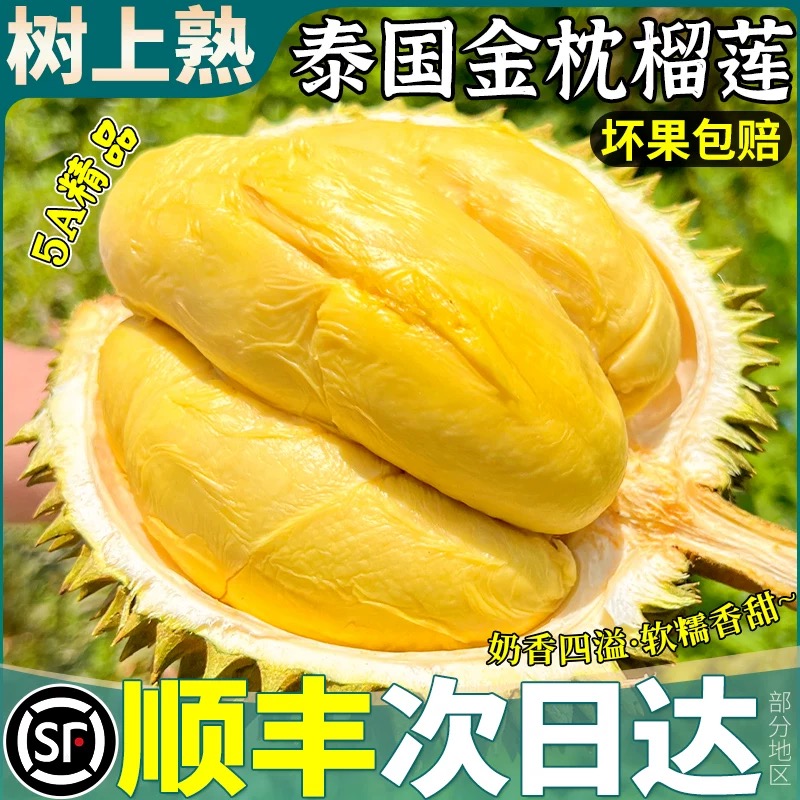 0HJ金枕榴莲【顺丰次日达】泰国A级树熟金枕头鲜榴莲2-6斤（核小香甜软)榴莲同城送金枕泰国东部