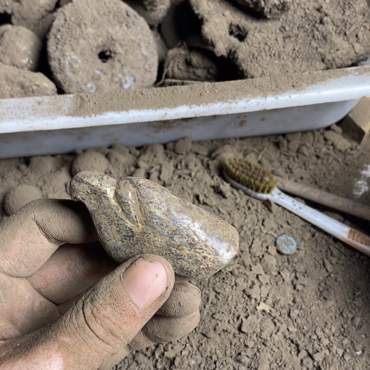 白玉菩提吊坠6666