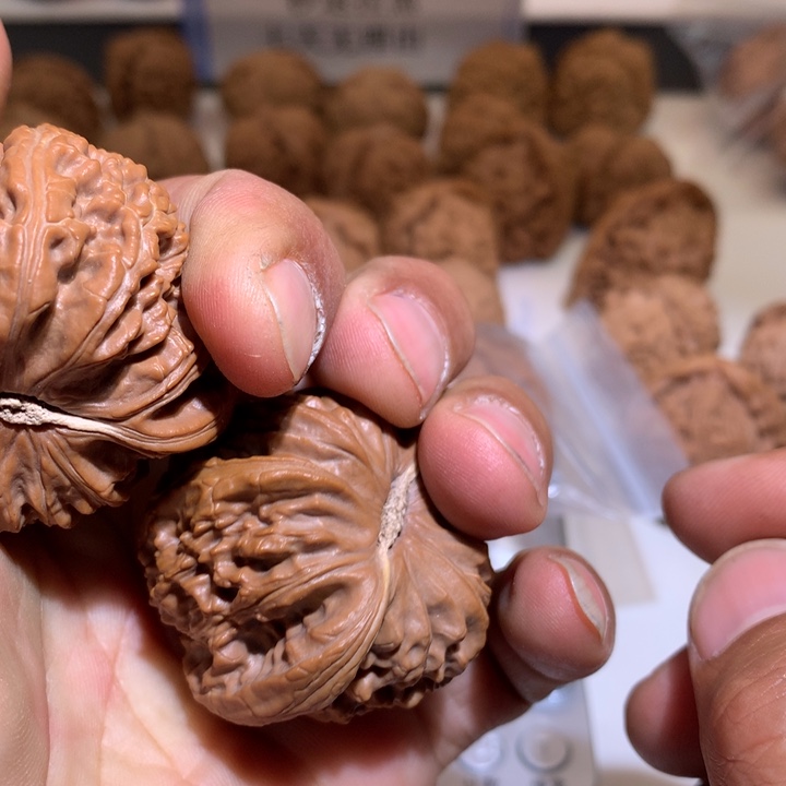 桃核把件笑***驴精品白狮子