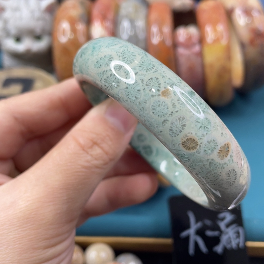 未镶嵌手镯硅化玉