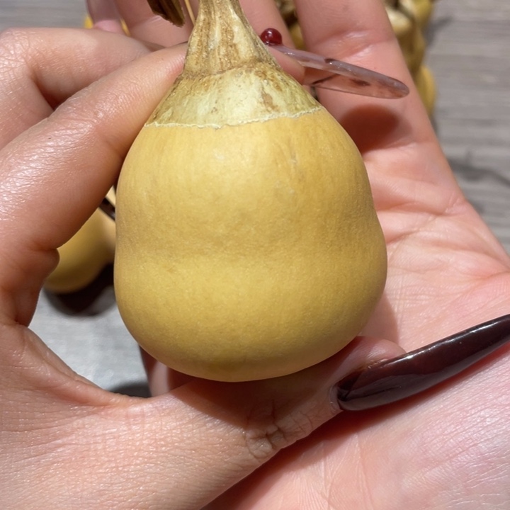 C***糖葫芦葫芦葫芦葫芦