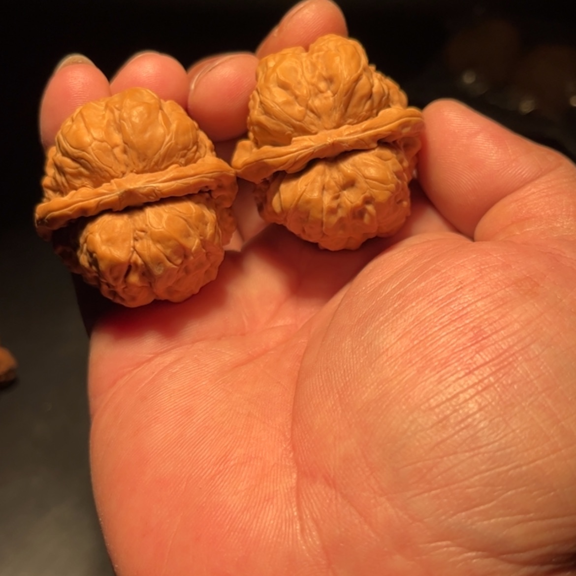 【闪购商品】咚**佟文玩核桃木制手把件