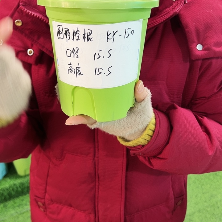 正品圆控口15高15白色无托10只
