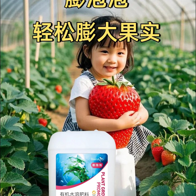 膨泡泡用于膨大（一桶冲2亩地）