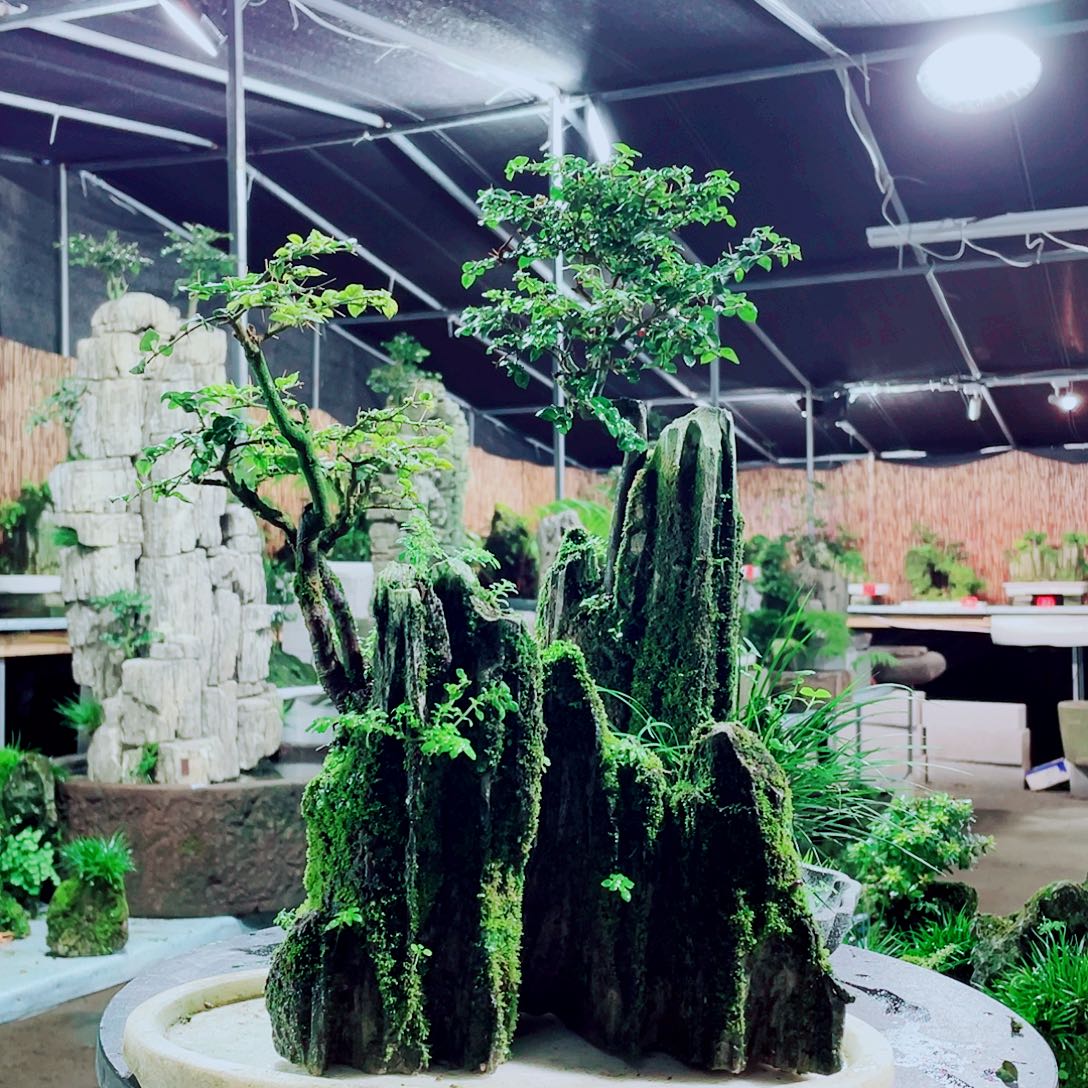 悟***空无花朵新品上架一枚噢亲一亲