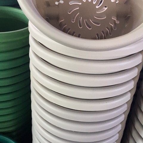 树脂四季3年灰白无托10个微瑕