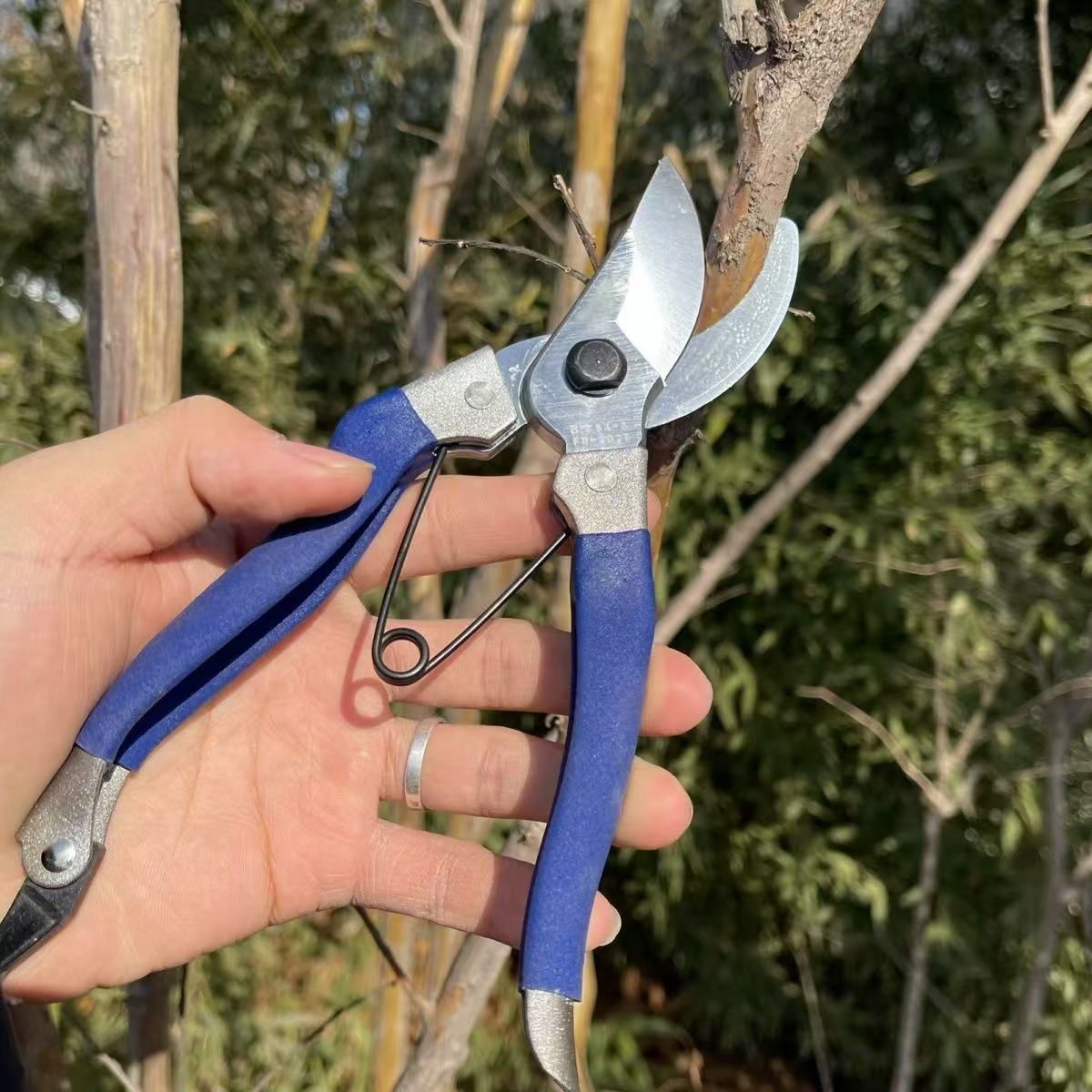 可以嫁接的剪刀修枝嫁接专用剪园林修枝剪园艺剪果树剪专用嫁接剪