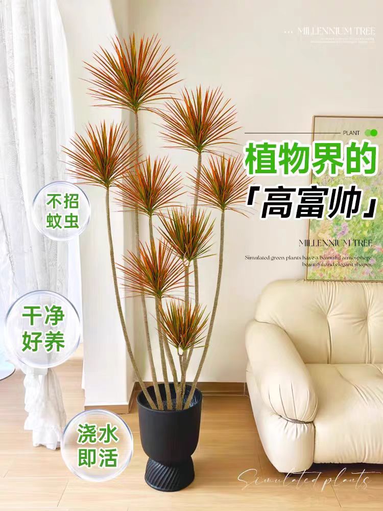 【千年木】懒人绿植红叶青叶绿叶居家卧室办公室客厅新手绿植