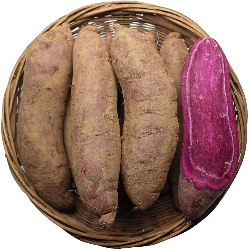 农家紫薯 边境收山货