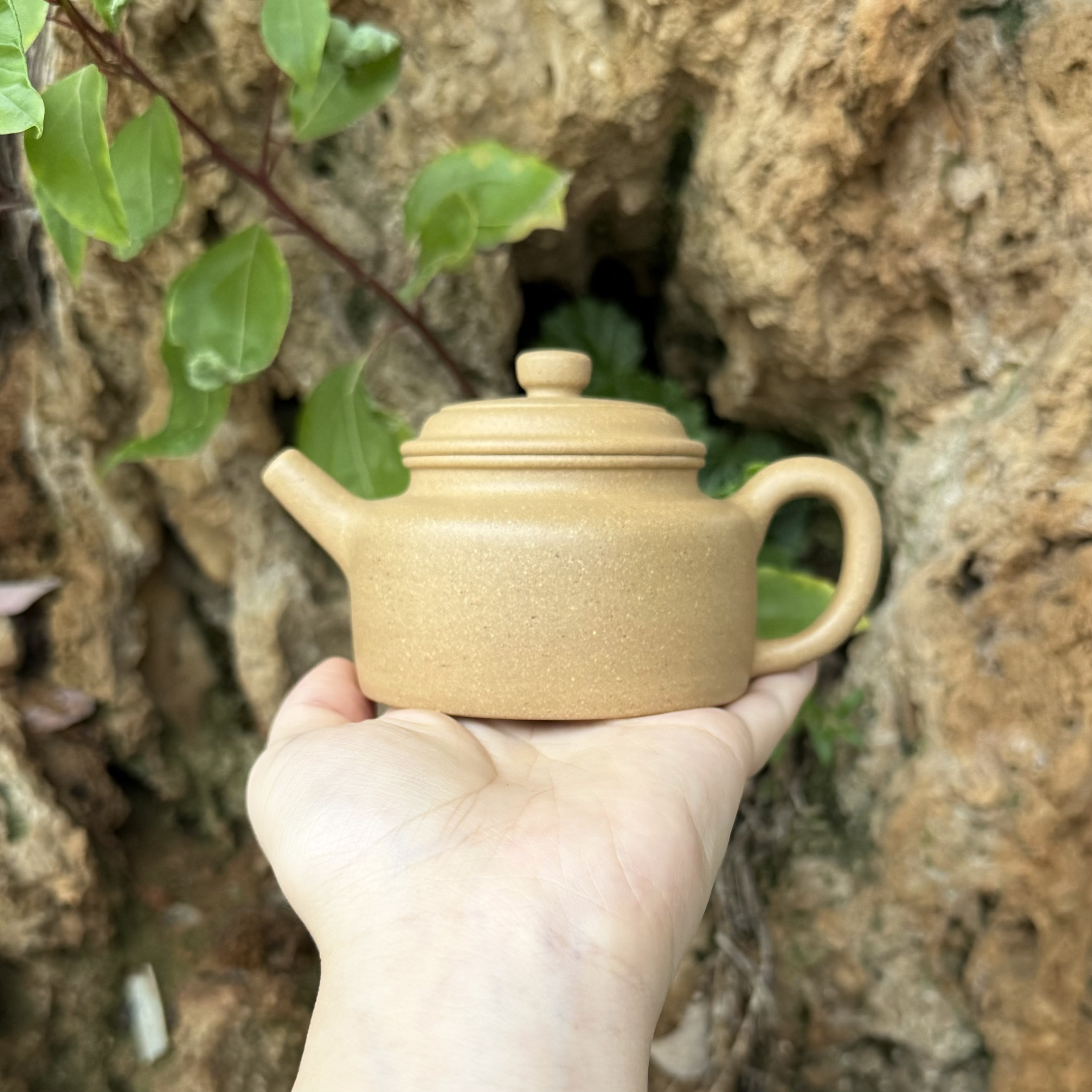 全手工大水潭精挑本绿德钟150-160cc（双层盖内推）