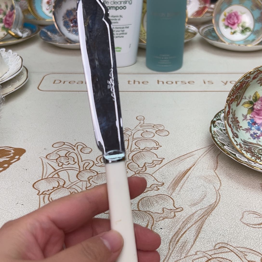 盘维多利亚欧洲中古