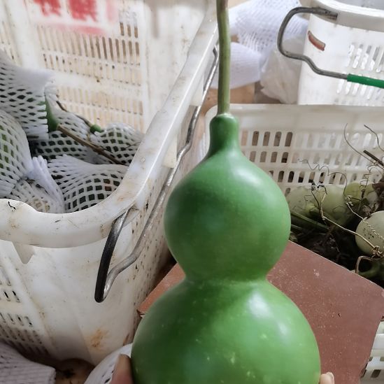 天***阳木葫芦摆件家庭摆件
