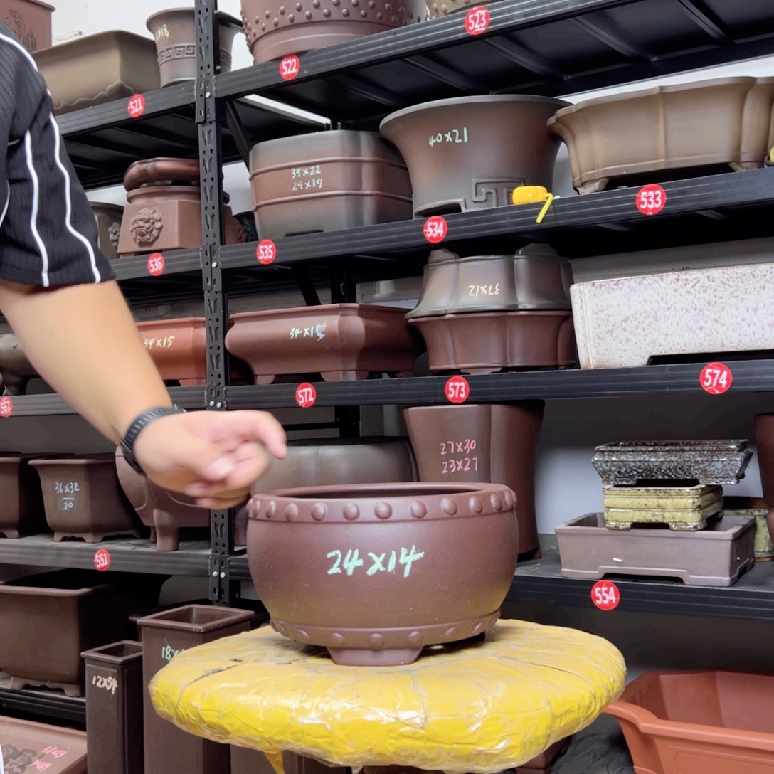 紫砂花盆呜呜呜呜呜我