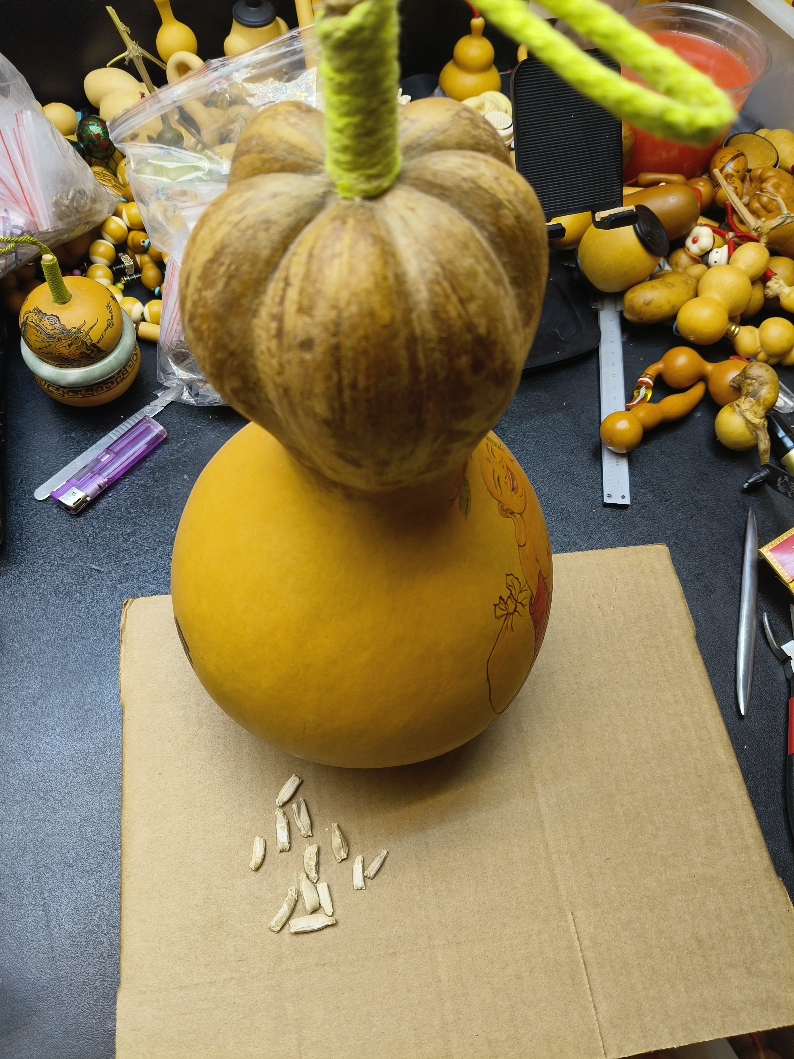 提纯对花莲花头钱袋子种子10粒.送1到5粒