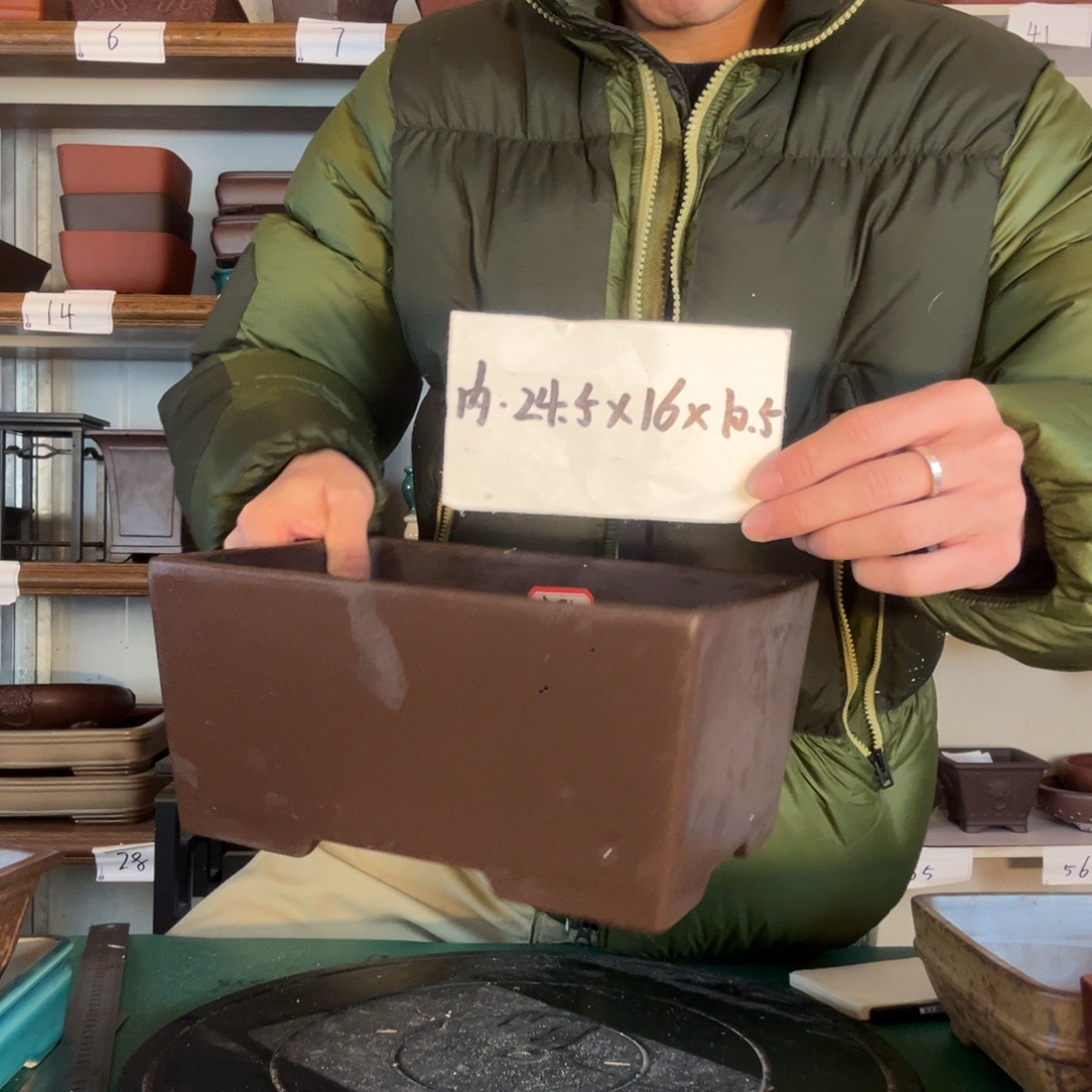 广告人多的复古规范方法