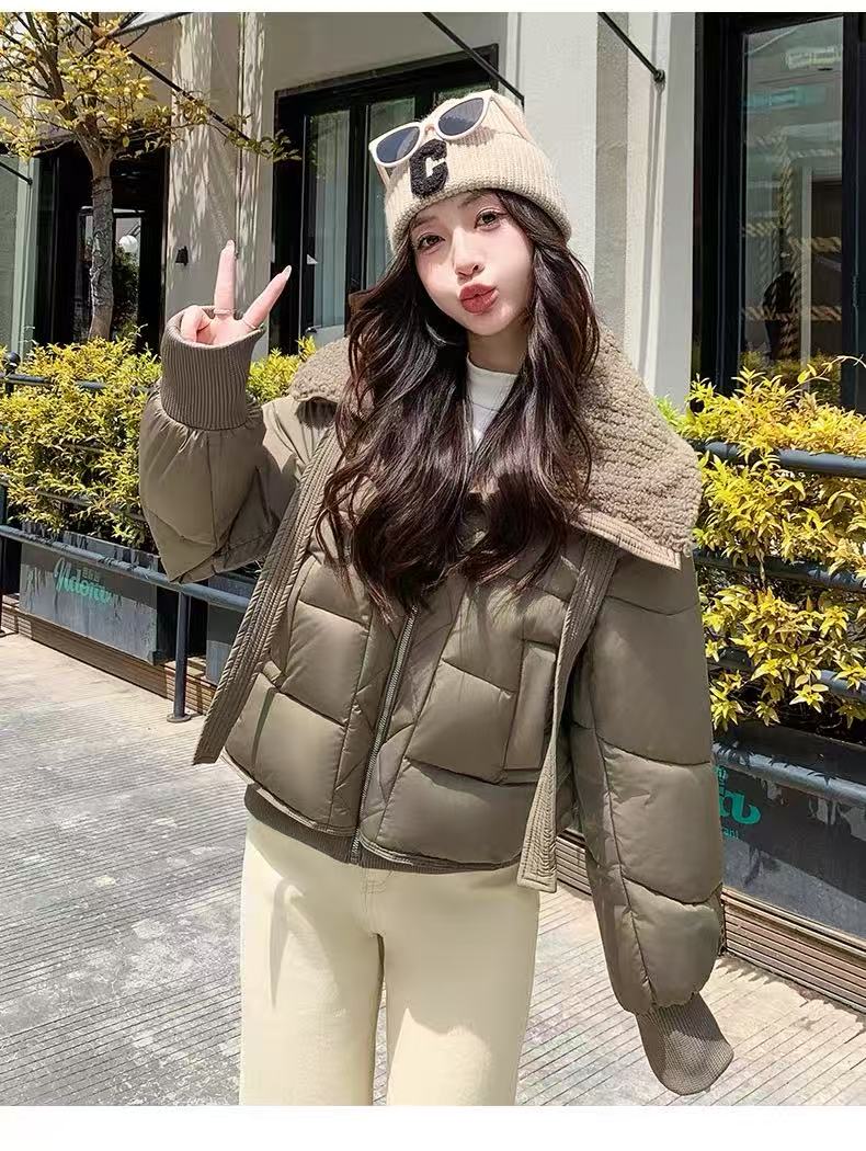 女服装版型短款立领休闲网红宽松棉服B111