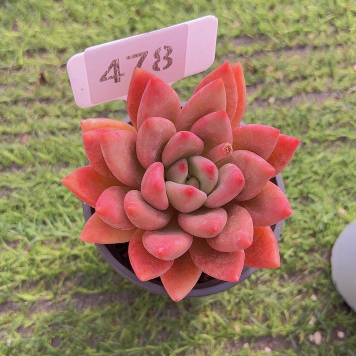 健健康康平平安安