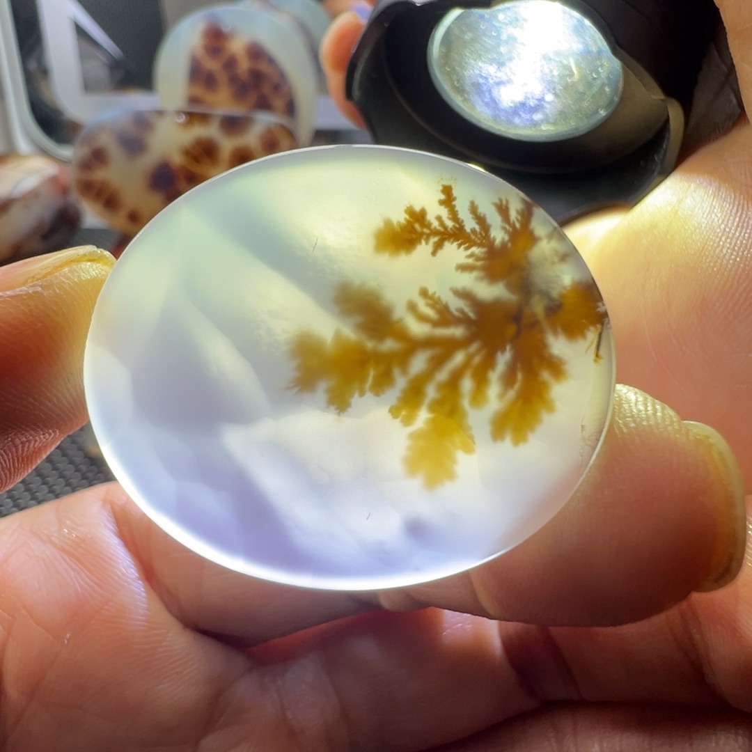 未镶嵌玛瑙/玉髓珠宝奇石