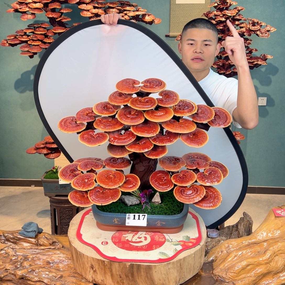 无花朵88888778888