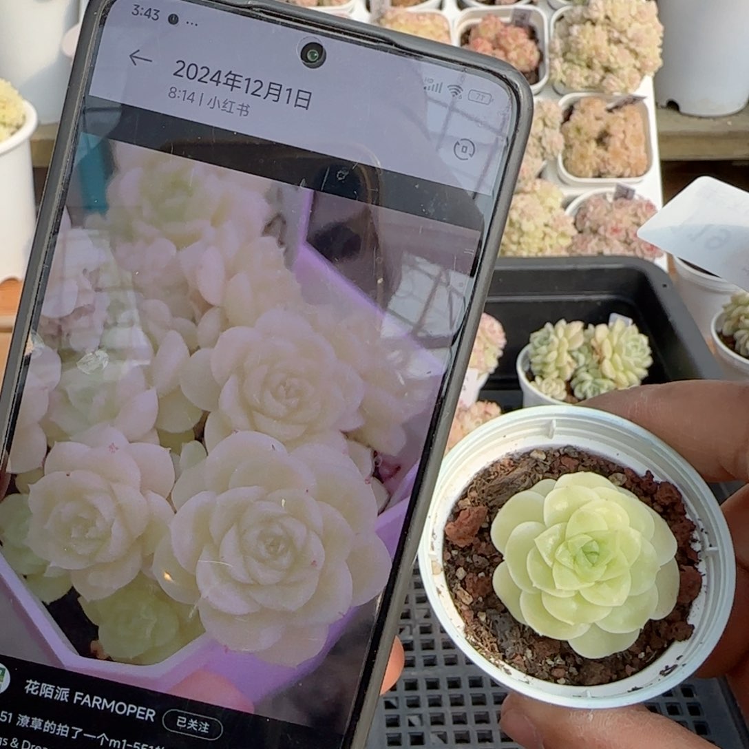 【闪购商品】0205-119（m1-551）