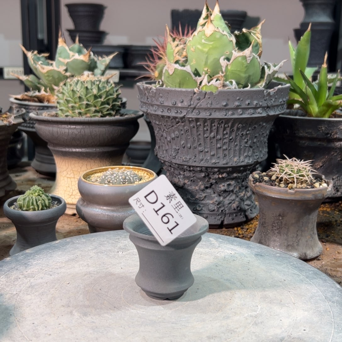 景德镇手工素里内口6高5.5