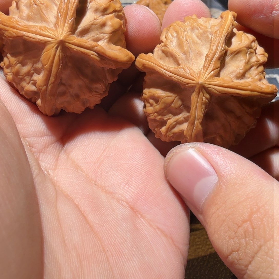 文玩核桃把件搂****?金锭四棱