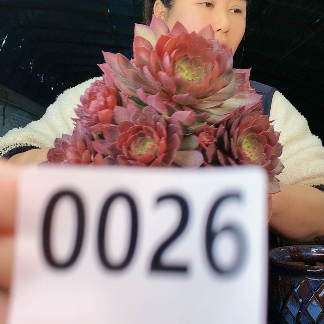 ssssssssssssssssssssss26