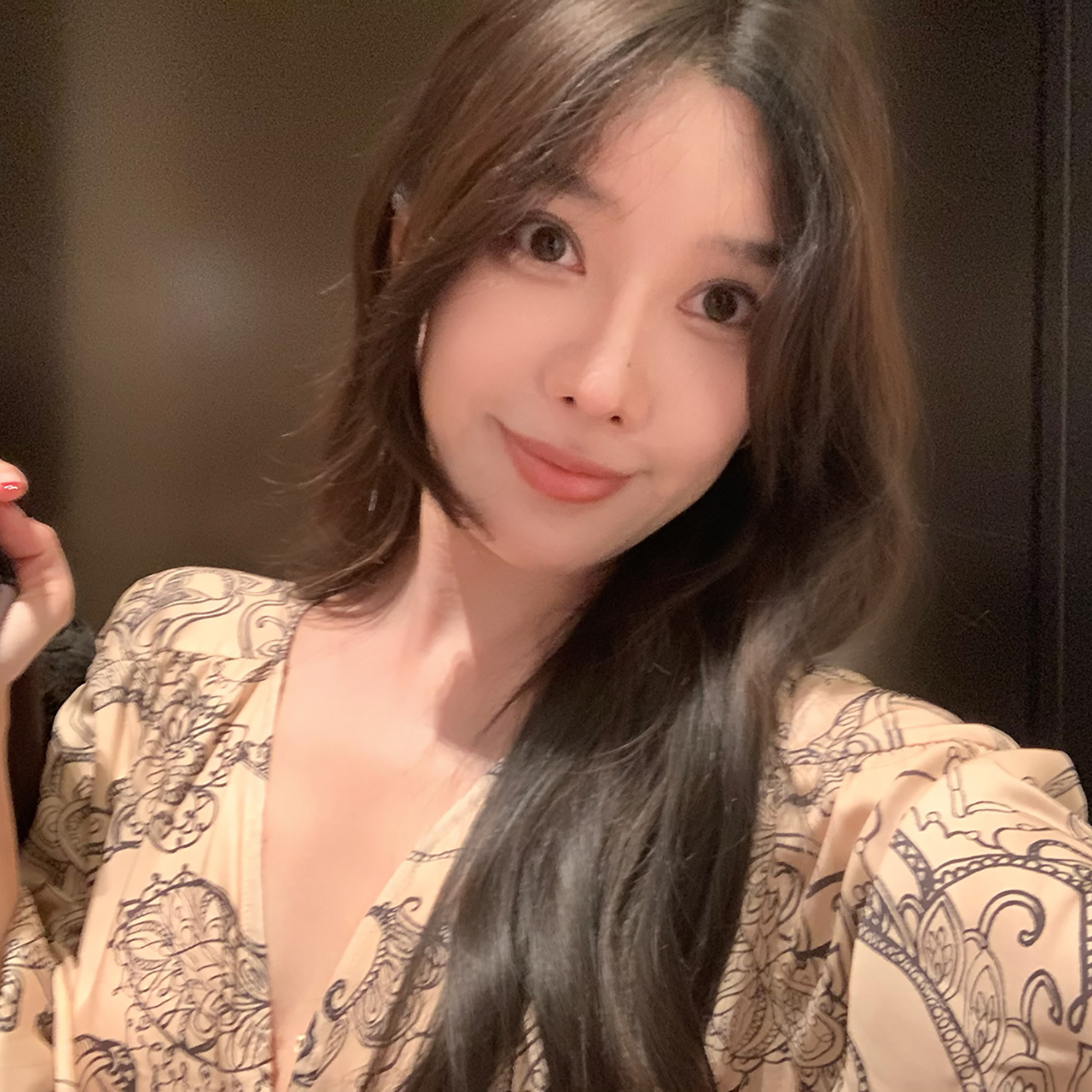 施薇靓独家丹麦印花 灯笼袖V领抽绳连衣裙+系带衬衫