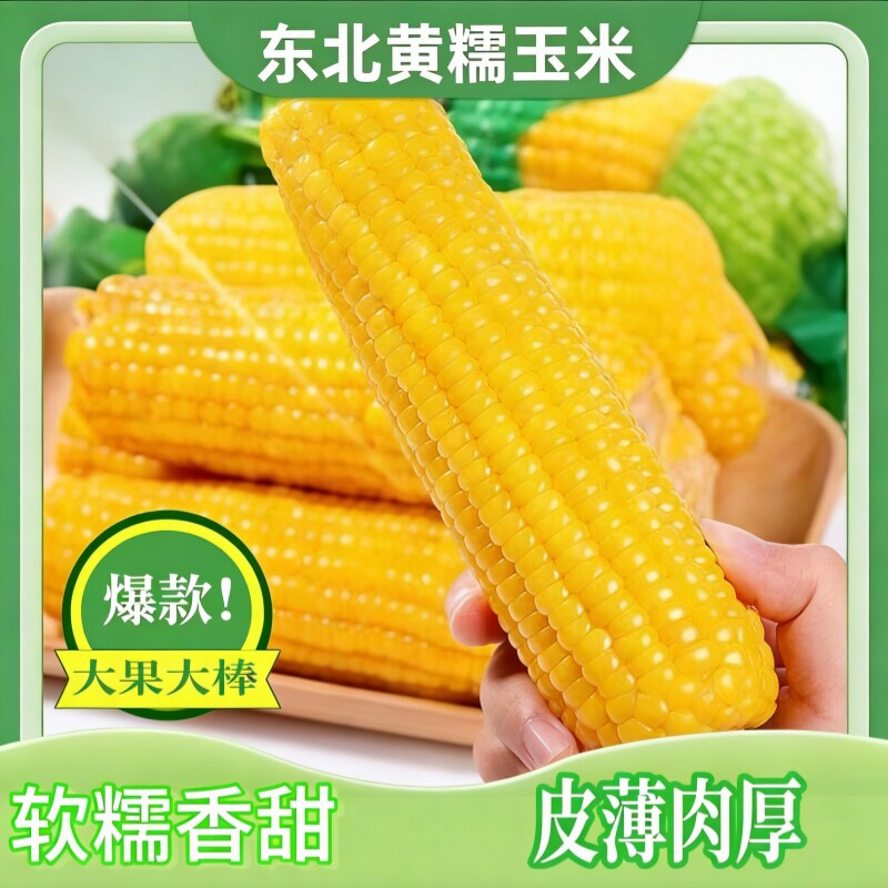 【试吃两根】25年东北糯玉米香糯软糯粘糯黄糯玉米甜糯8根装5斤以上