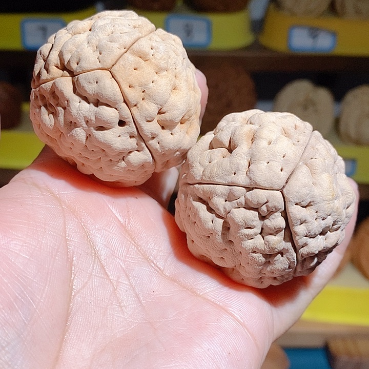虫眼瑕疵款脑纹大金刚4552