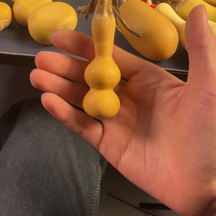 3***包大叶紫檀（黑酸枝木类）