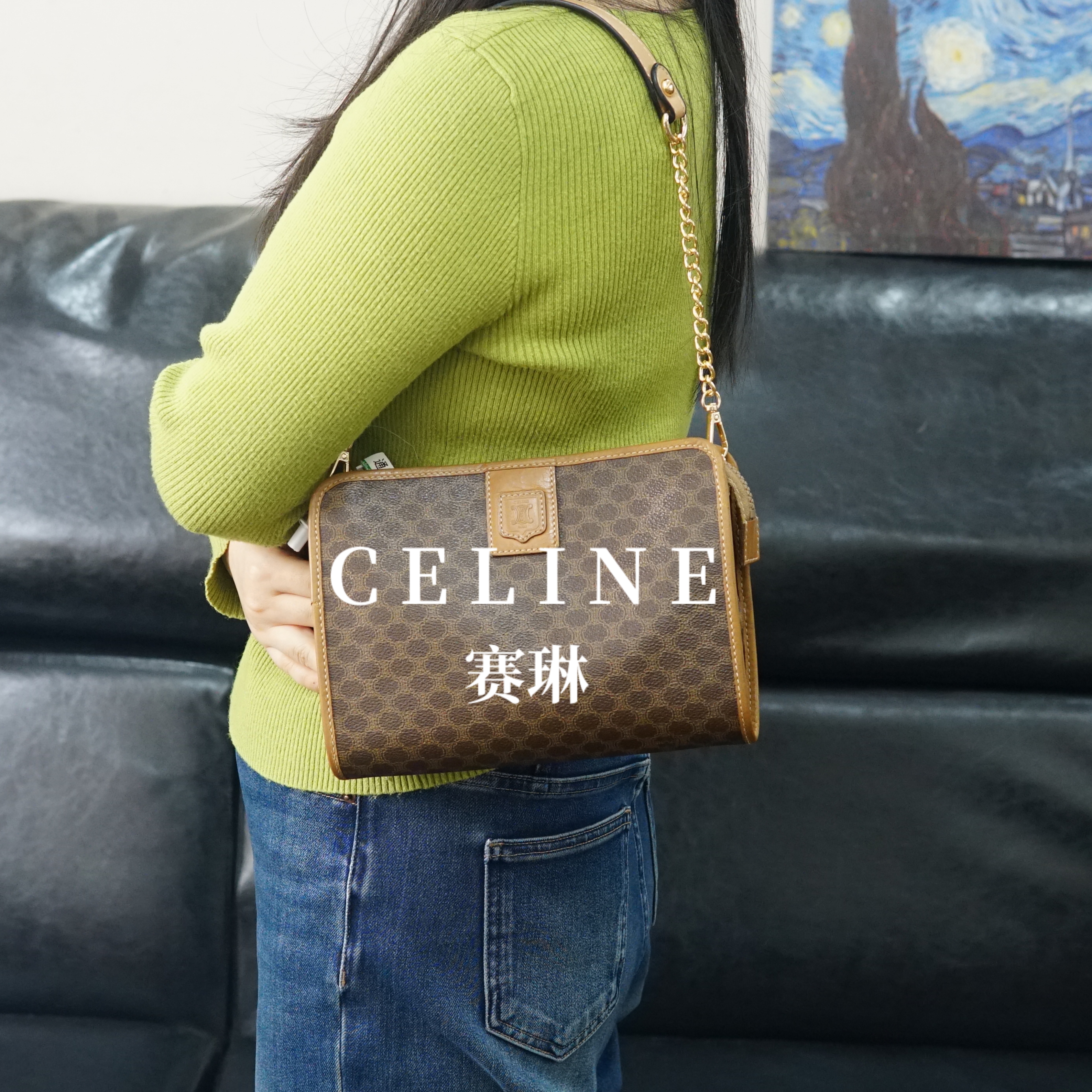 95新 Celine/思琳 老花单肩包/JJ12618214/8214