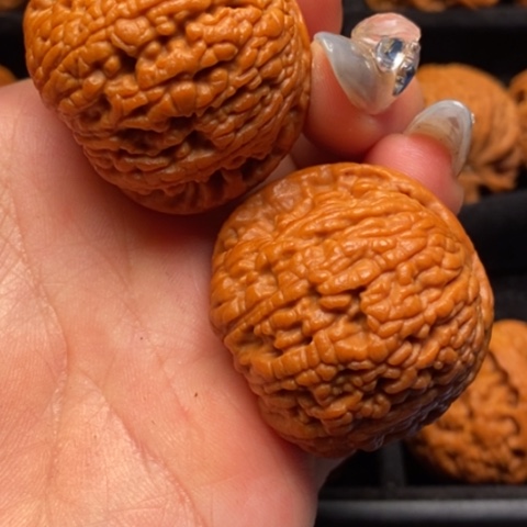 文玩核桃吊坠秦岭山脉核桃