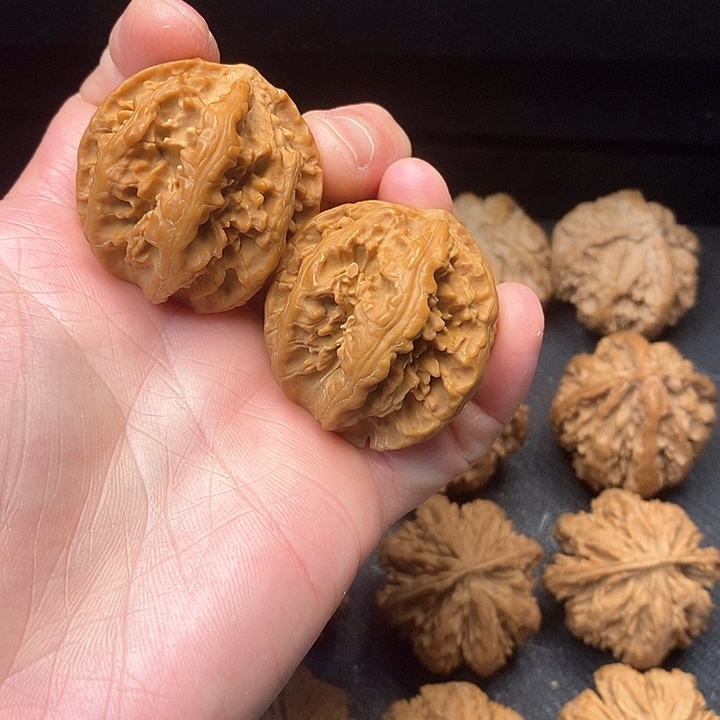 我是一只小小鸟的小猫