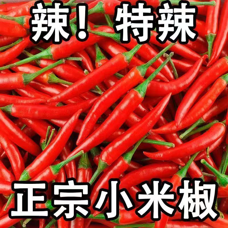 河南新鲜现摘新鲜小米辣朝天椒红辣椒味道剁椒泡椒特辣小米椒香味