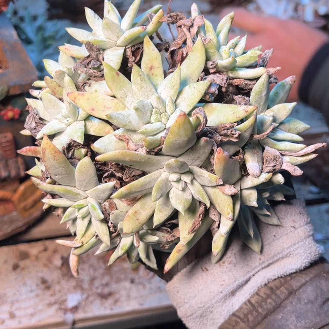 7898哈哈哈哈哈哈哈哈