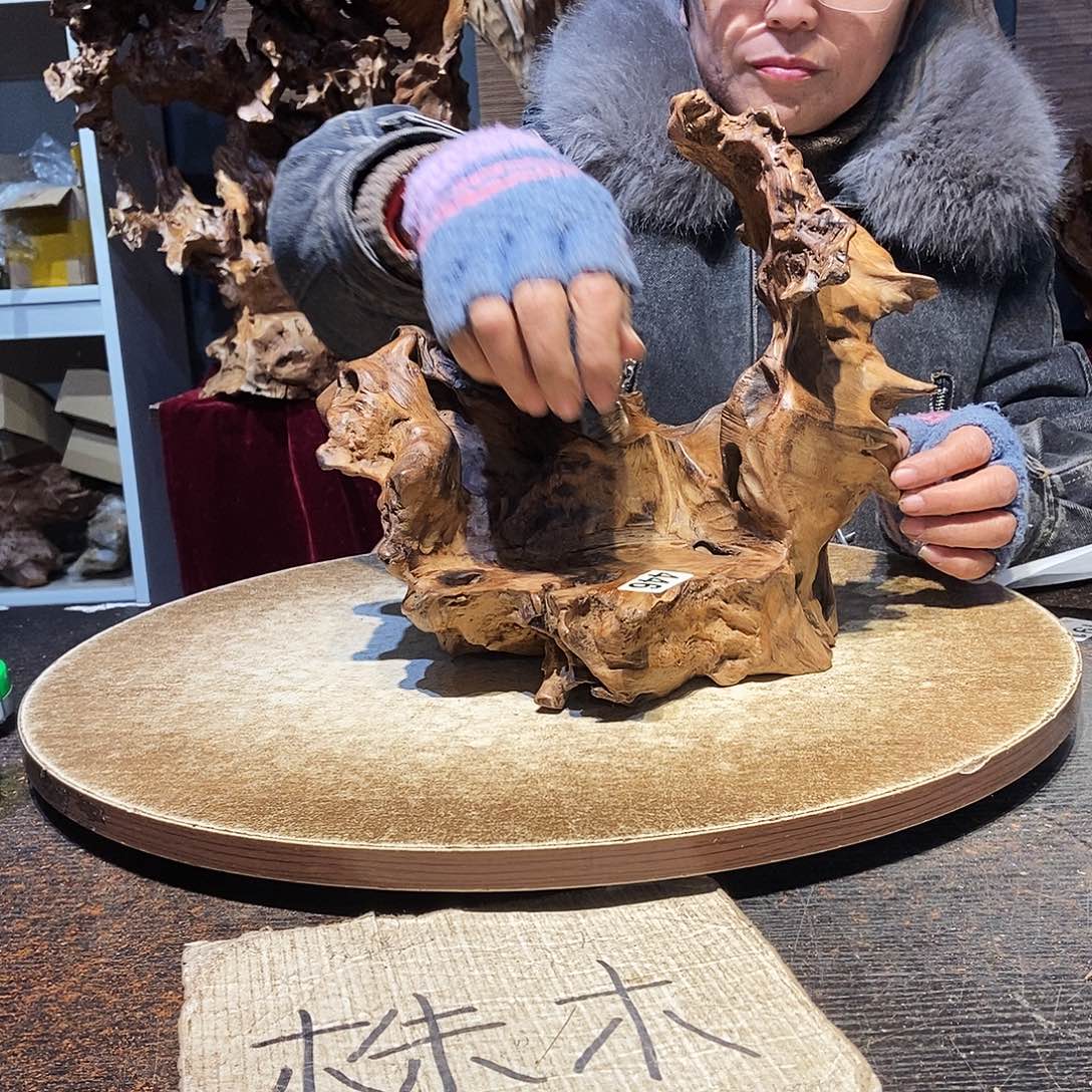 求***计446。株木随行根艺